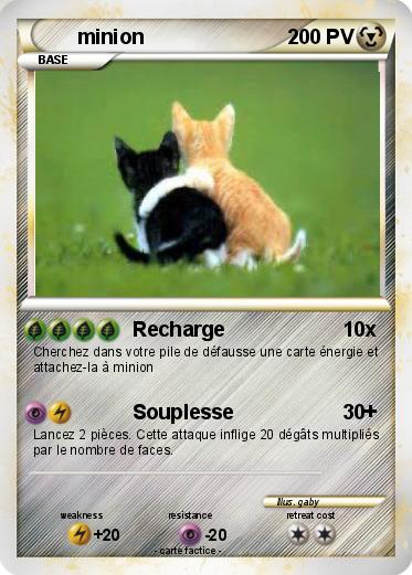Pokemon minion