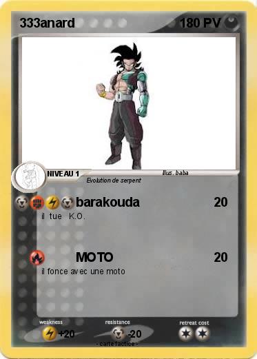 Pokemon 333anard