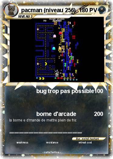 Pokemon pacman (niveau 256)