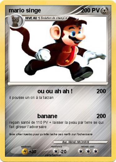 Pokemon mario singe