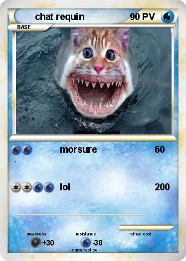 Pokemon chat requin