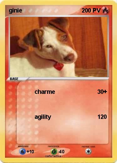 Pokemon ginie
