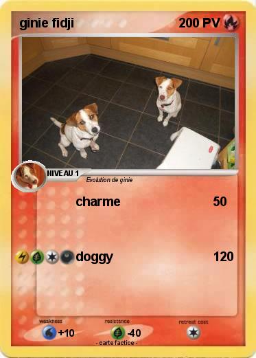 Pokemon ginie fidji