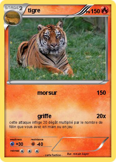 Pokemon tigre