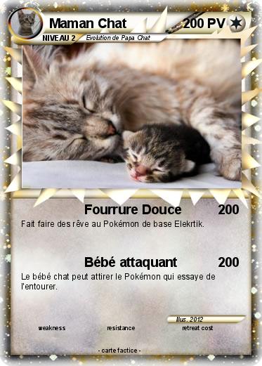 Pokemon Maman Chat