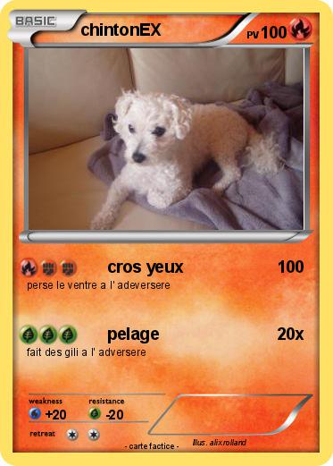 Pokemon chintonEX