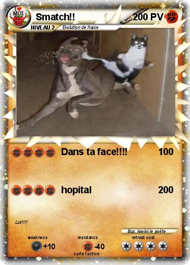 Pokemon Smatch!!