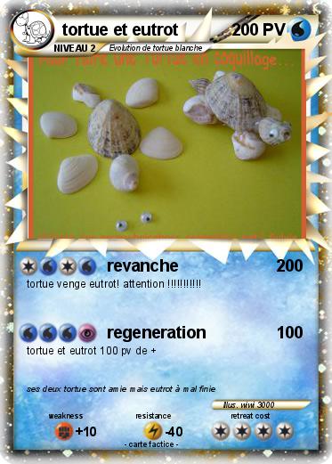 Pokemon tortue et eutrot