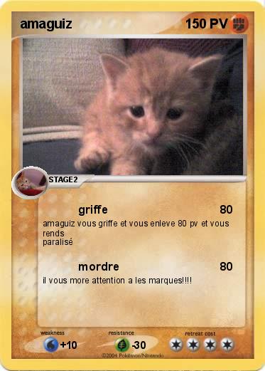 Pokemon amaguiz
