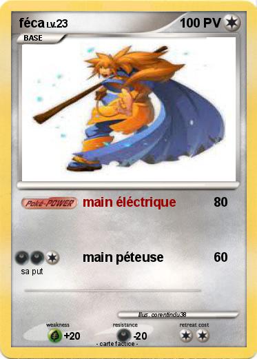 Pokemon féca