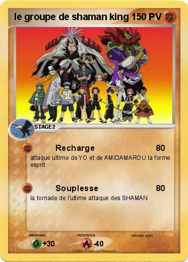 Pokemon le groupe de shaman king