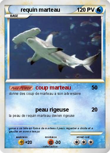 Pokemon requin marteau