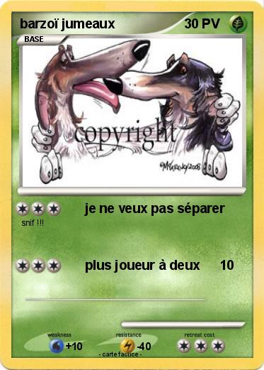 Pokemon barzoï jumeaux