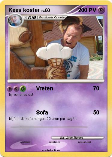 Pokemon Kees koster