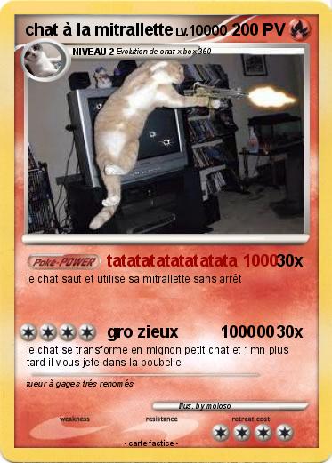 Pokemon chat à la mitrallette