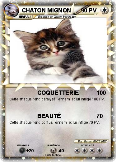 Pokemon CHATON MIGNON