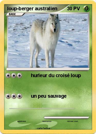 Pokemon loup-berger australien