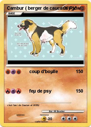 Pokemon Cambur ( berger de caucase ) gdw