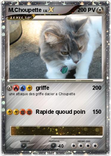Pokemon M.Choupette