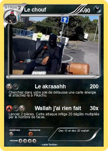 Pokemon Le chouf