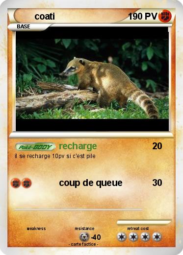 Pokemon coati