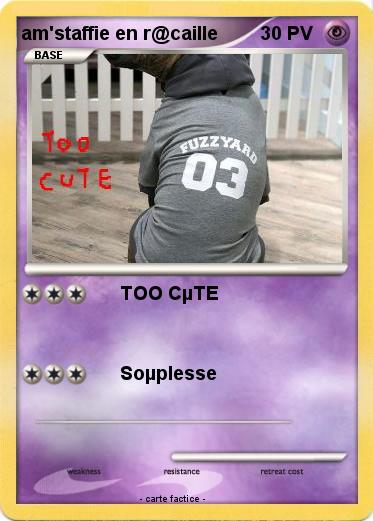 Pokemon am'staffie en r@caille