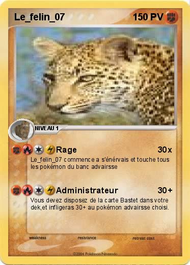 Pokemon Le_felin_07