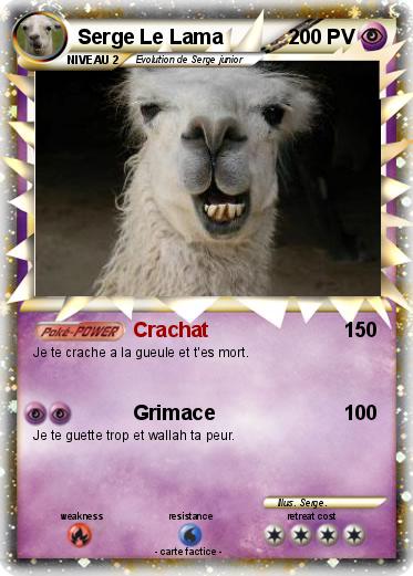 Pokemon Serge Le Lama