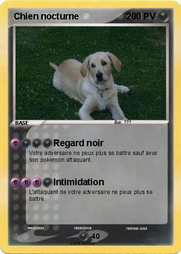 Pokemon Chien nocturne