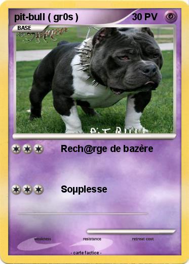 Pokemon pit-bull ( gr0s )