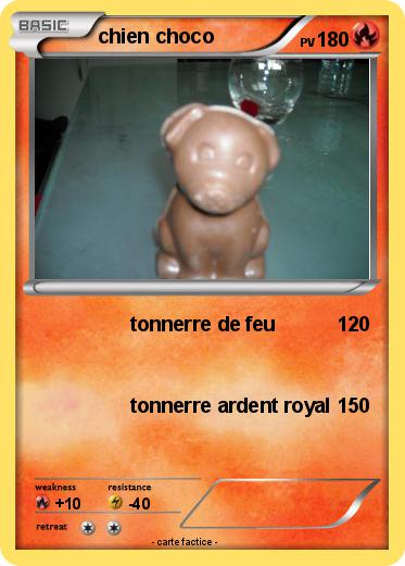 Pokemon chien choco