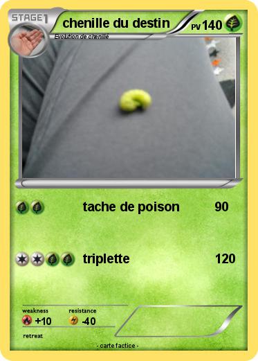 Pokemon chenille du destin