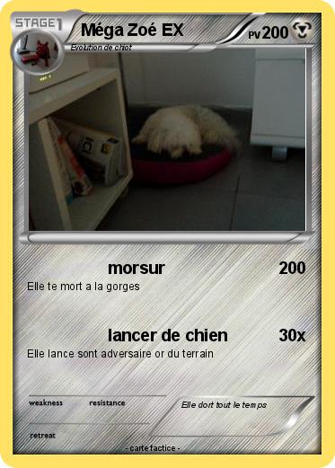 Pokemon Méga Zoé EX