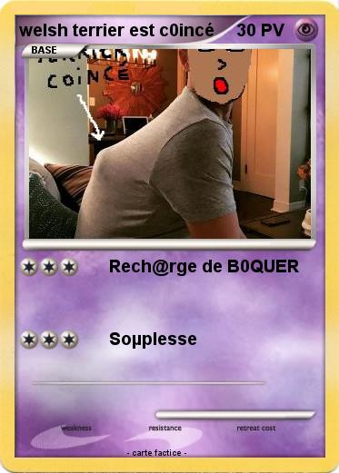 Pokemon welsh terrier est c0incé