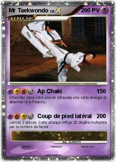 Pokemon Mr Taekwondo