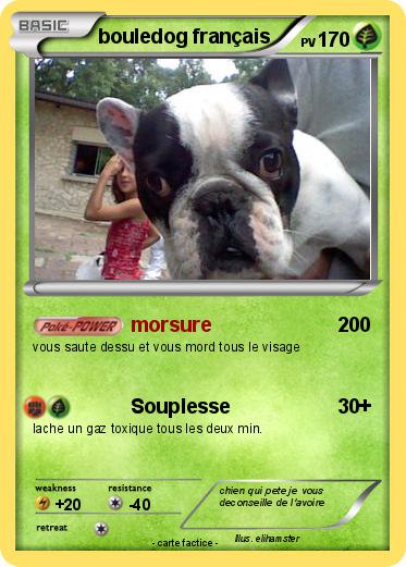 Pokemon bouledog français