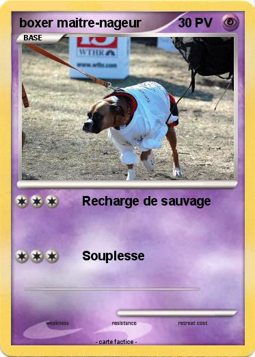 Pokemon boxer maitre-nageur