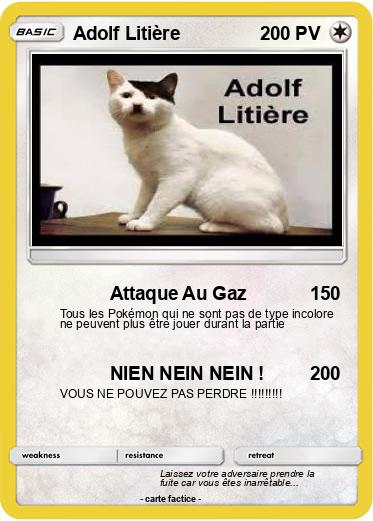Pokemon Adolf Litière
