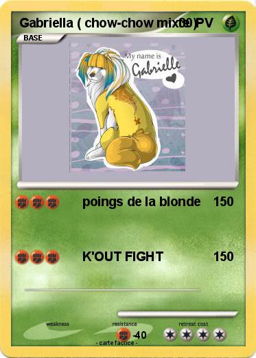 Pokemon Gabriella ( chow-chow mixte )
