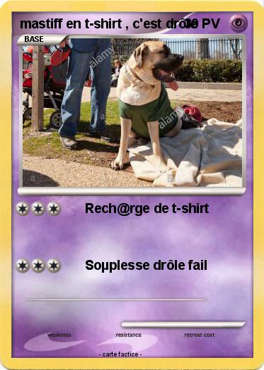 Pokemon mastiff en t-shirt , c'est drôle
