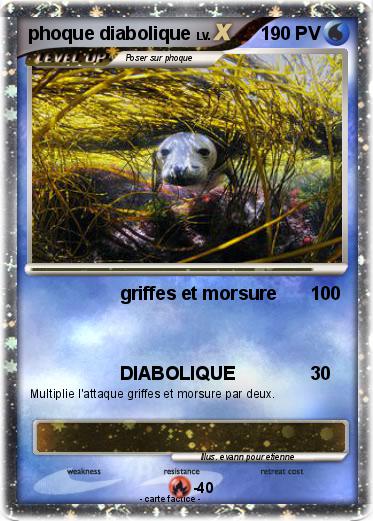 Pokemon phoque diabolique