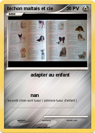 Pokemon bichon maltais et cie