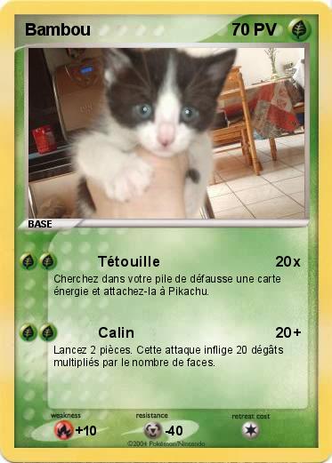Pokemon Bambou