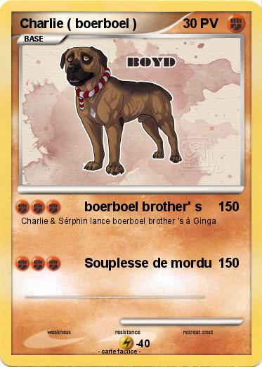 Pokemon Charlie ( boerboel )