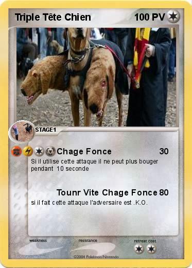 Pokemon Triple Tête Chien