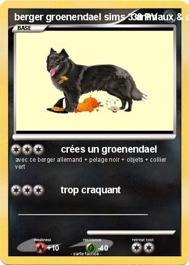 Pokemon berger groenendael sims 3 animaux & cie