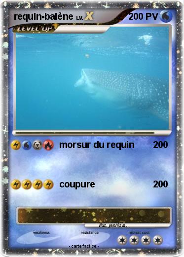 Pokemon requin-balène
