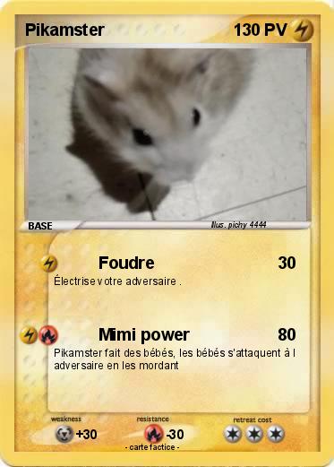 Pokemon Pikamster