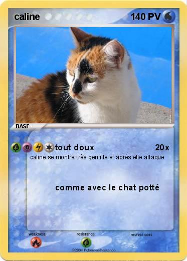 Pokemon caline