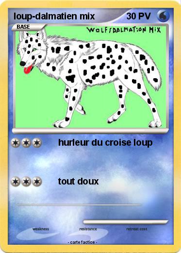 Pokemon loup-dalmatien mix